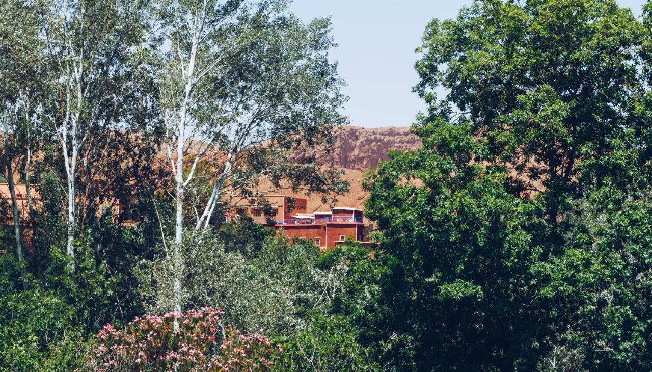 فندق Monkey Fingers House By Fatima Mellal تنغير المظهر الخارجي الصورة